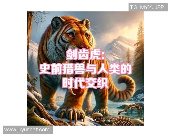 弗格的传奇人生与时代交织的辉煌成就探索