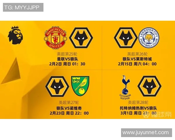 狼队与莱斯特城精彩对决直播观看指南及免费获取方式分享