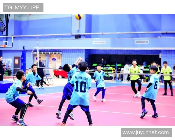 武汉排球队的奋斗与荣耀:一段不平凡的排球纪实之旅